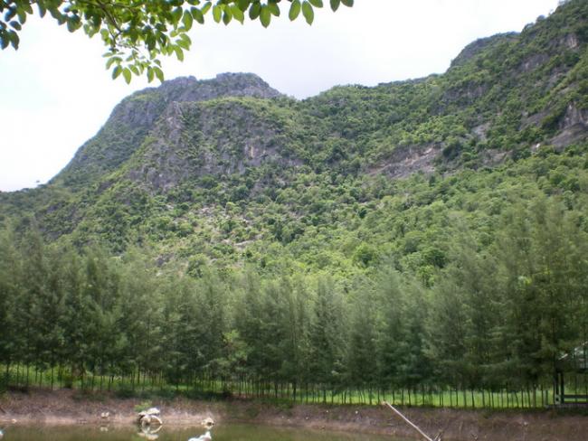 SANY7532.jpg
